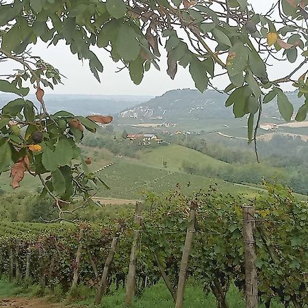 Agriturismo Bric Di Gai Monforte dʼAlba Dış mekan fotoğraf