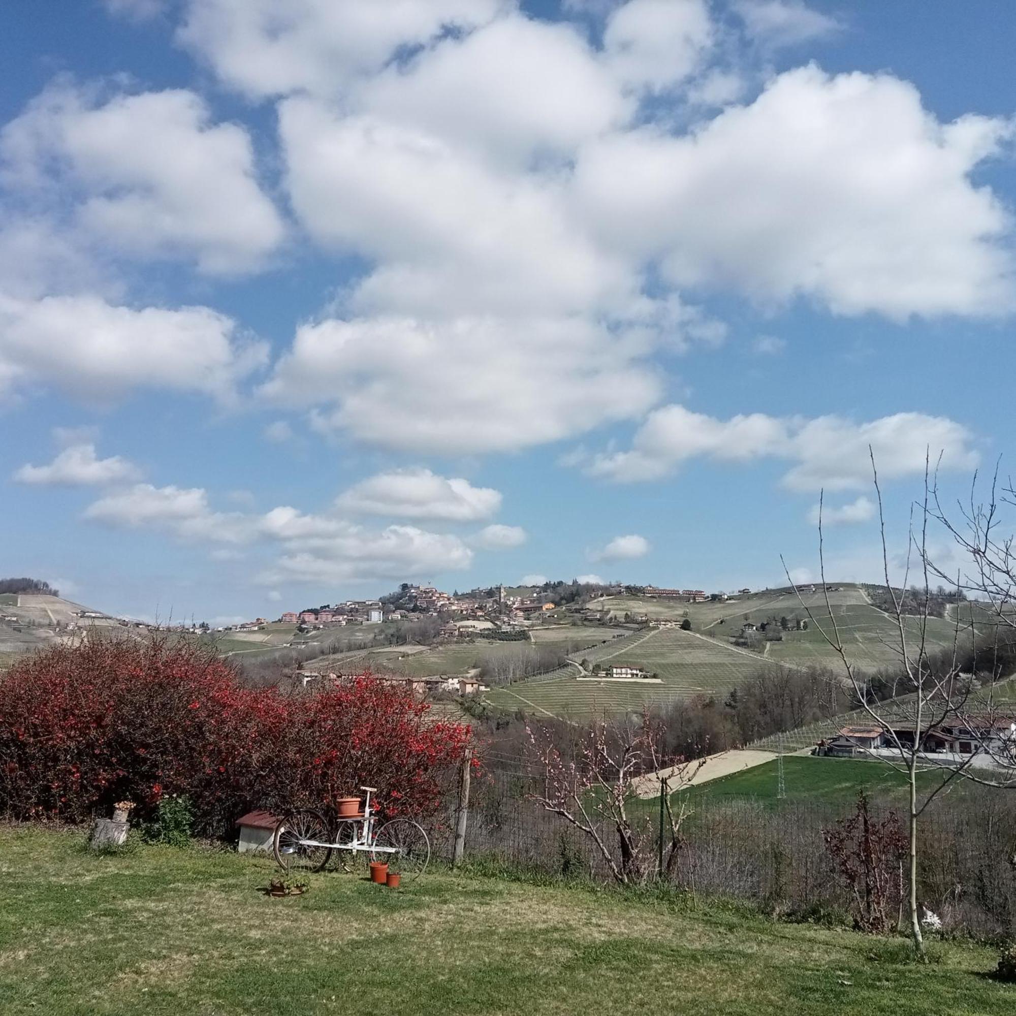 Agriturismo Bric Di Gai Monforte dʼAlba Oda fotoğraf